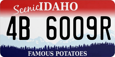 ID license plate 4B6009R