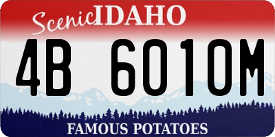 ID license plate 4B6010M