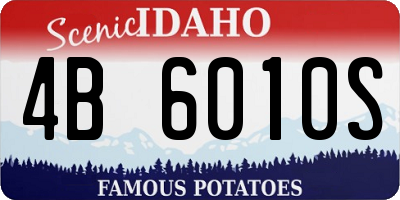 ID license plate 4B6010S