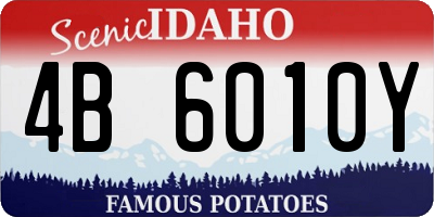 ID license plate 4B6010Y