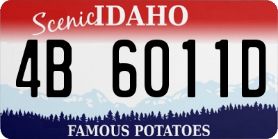 ID license plate 4B6011D
