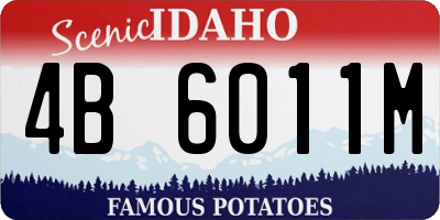 ID license plate 4B6011M