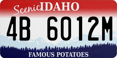 ID license plate 4B6012M