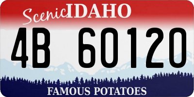 ID license plate 4B6012O