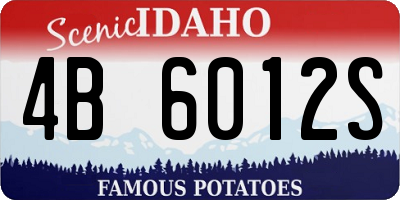 ID license plate 4B6012S