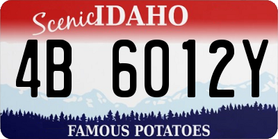 ID license plate 4B6012Y