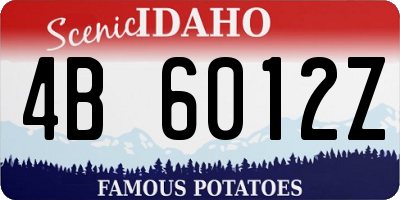 ID license plate 4B6012Z