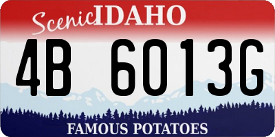 ID license plate 4B6013G