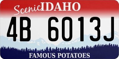 ID license plate 4B6013J