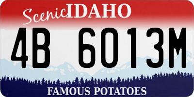 ID license plate 4B6013M