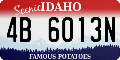 ID license plate 4B6013N