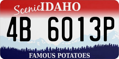 ID license plate 4B6013P