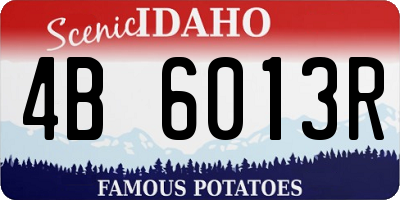 ID license plate 4B6013R