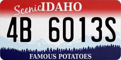ID license plate 4B6013S