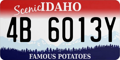 ID license plate 4B6013Y