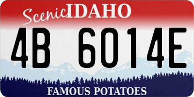 ID license plate 4B6014E