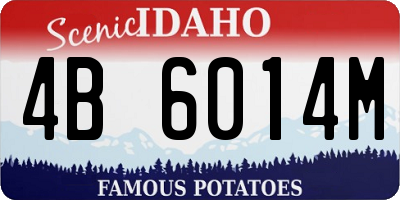ID license plate 4B6014M