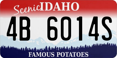 ID license plate 4B6014S