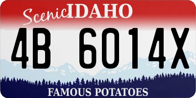 ID license plate 4B6014X