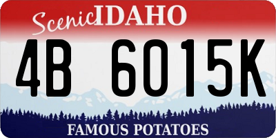 ID license plate 4B6015K