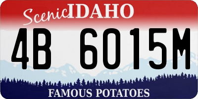 ID license plate 4B6015M