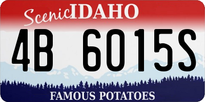 ID license plate 4B6015S