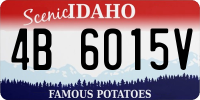 ID license plate 4B6015V