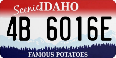 ID license plate 4B6016E