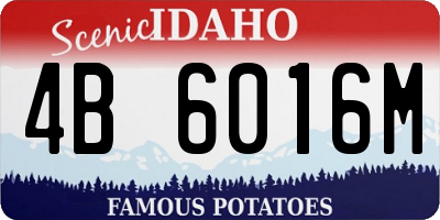 ID license plate 4B6016M