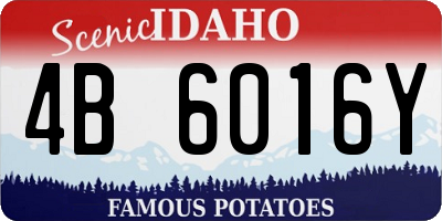 ID license plate 4B6016Y