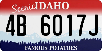 ID license plate 4B6017J
