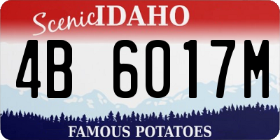 ID license plate 4B6017M