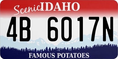 ID license plate 4B6017N
