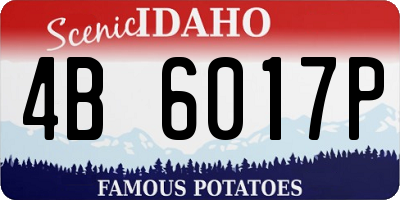 ID license plate 4B6017P
