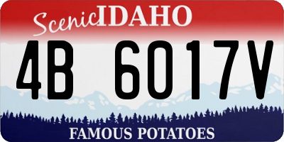 ID license plate 4B6017V