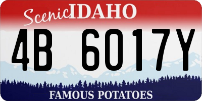 ID license plate 4B6017Y