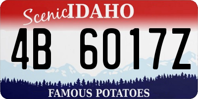 ID license plate 4B6017Z