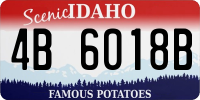 ID license plate 4B6018B
