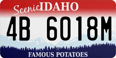 ID license plate 4B6018M