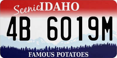 ID license plate 4B6019M