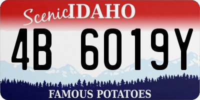 ID license plate 4B6019Y
