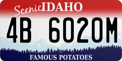 ID license plate 4B6020M
