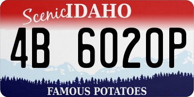ID license plate 4B6020P