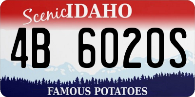ID license plate 4B6020S