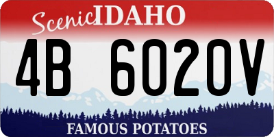 ID license plate 4B6020V