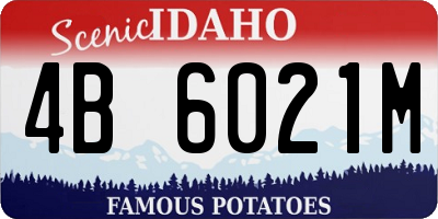 ID license plate 4B6021M