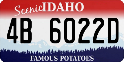 ID license plate 4B6022D