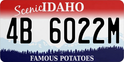ID license plate 4B6022M