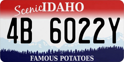 ID license plate 4B6022Y