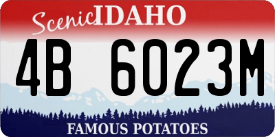 ID license plate 4B6023M